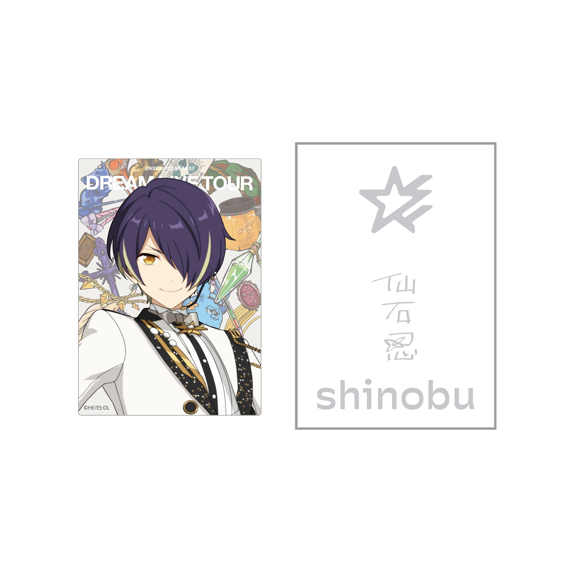 事後通販】ペンライトデコセット 10th Tour Edition（流星隊／Valkyrie