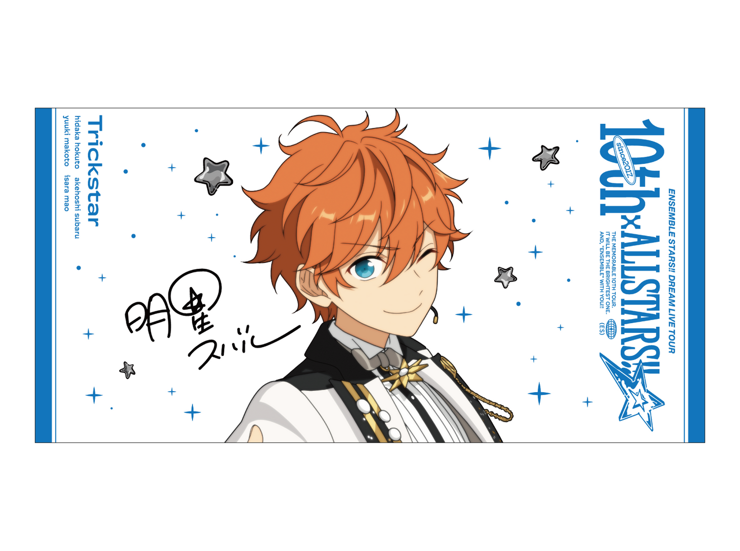ビッグビジュアルタオル 10th Tour Edition（fine／Trickstar／UNDEAD）