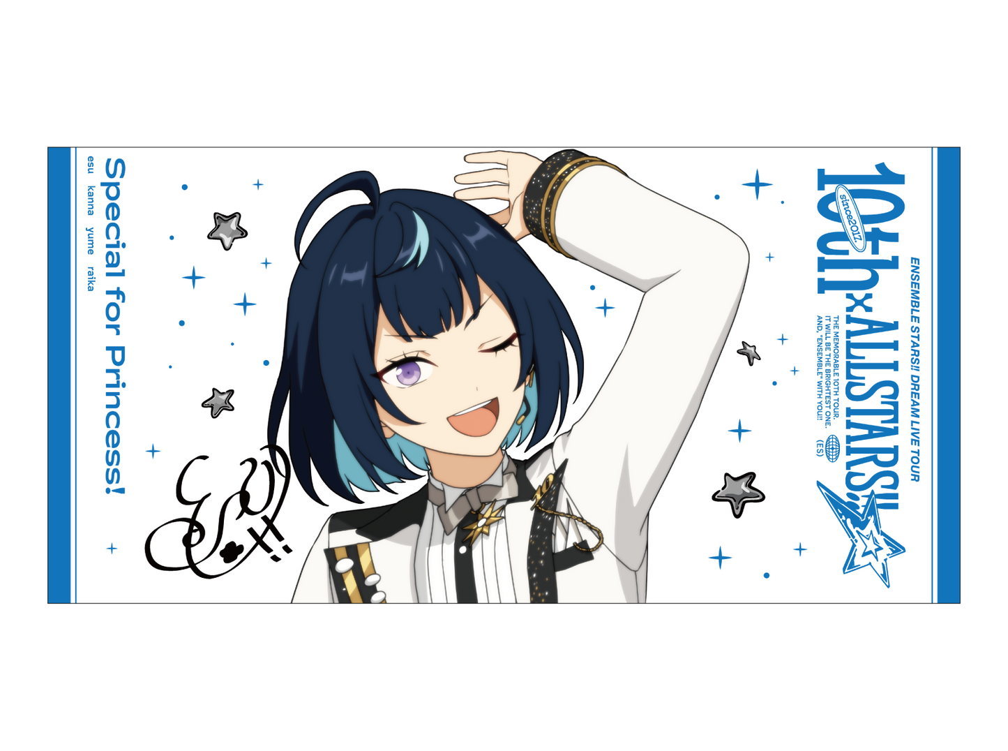 ビッグビジュアルタオル 10th Tour Edition（2wink／Knights／MaM／Special for Princess!）