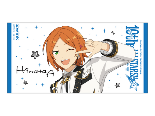 ビッグビジュアルタオル 10th Tour Edition(2wink/Knights/MaM/Special for Princess!)