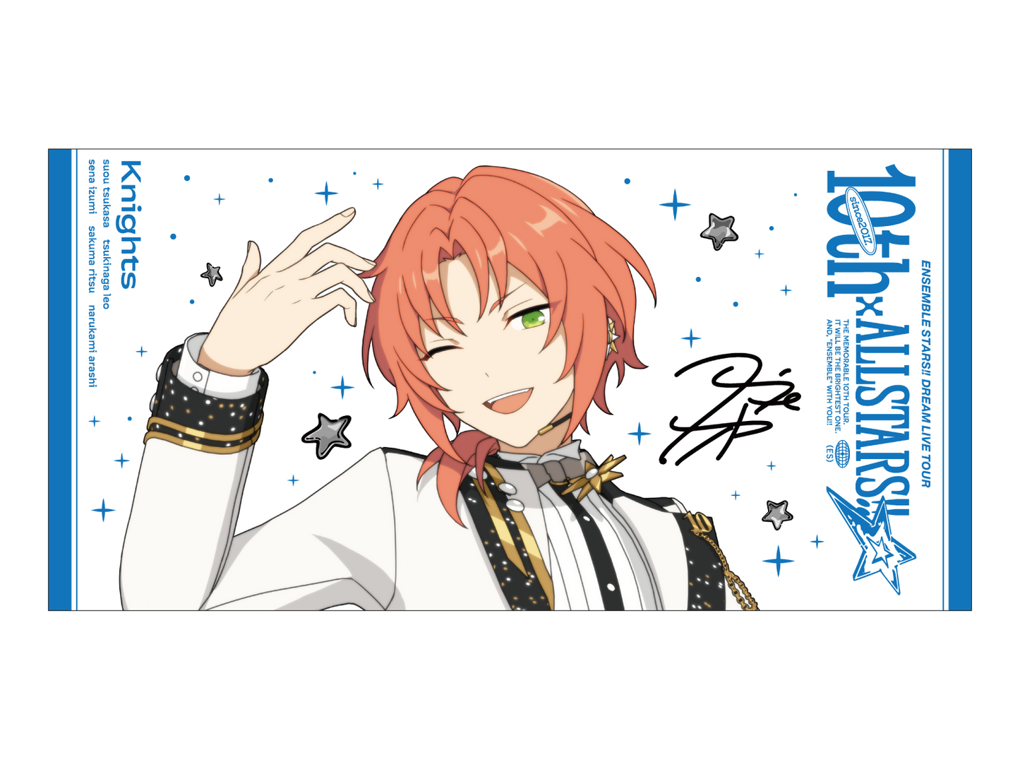 ビッグビジュアルタオル 10th Tour Edition（2wink／Knights／MaM／Special for Princess!）