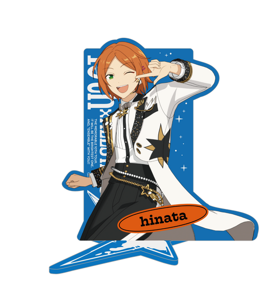 アイドルアクリルスタンド 10th Tour Edition(2wink/Knights/MaM/Special for Princess!)