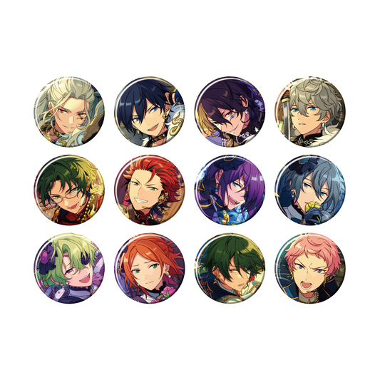 あんさんぶるスターズ コレクション缶バッジ Apr. Idol 姫宮桃李 姫宮桃李 コレクション 缶バッジ あんスタ Apr コレ缶 70缶