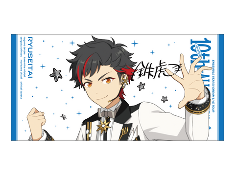 事後通販】ビッグビジュアルタオル 10th Tour Edition（流星隊