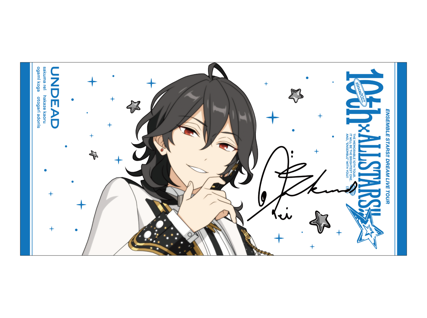 ビッグビジュアルタオル 10th Tour Edition（fine／Trickstar／UNDEAD）