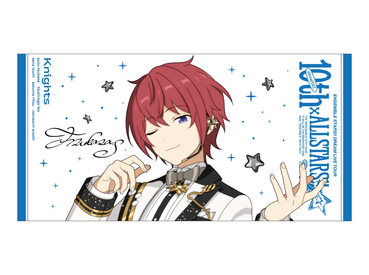 ビッグビジュアルタオル 10th Tour Edition（2wink／Knights／MaM／Special for Princess!）