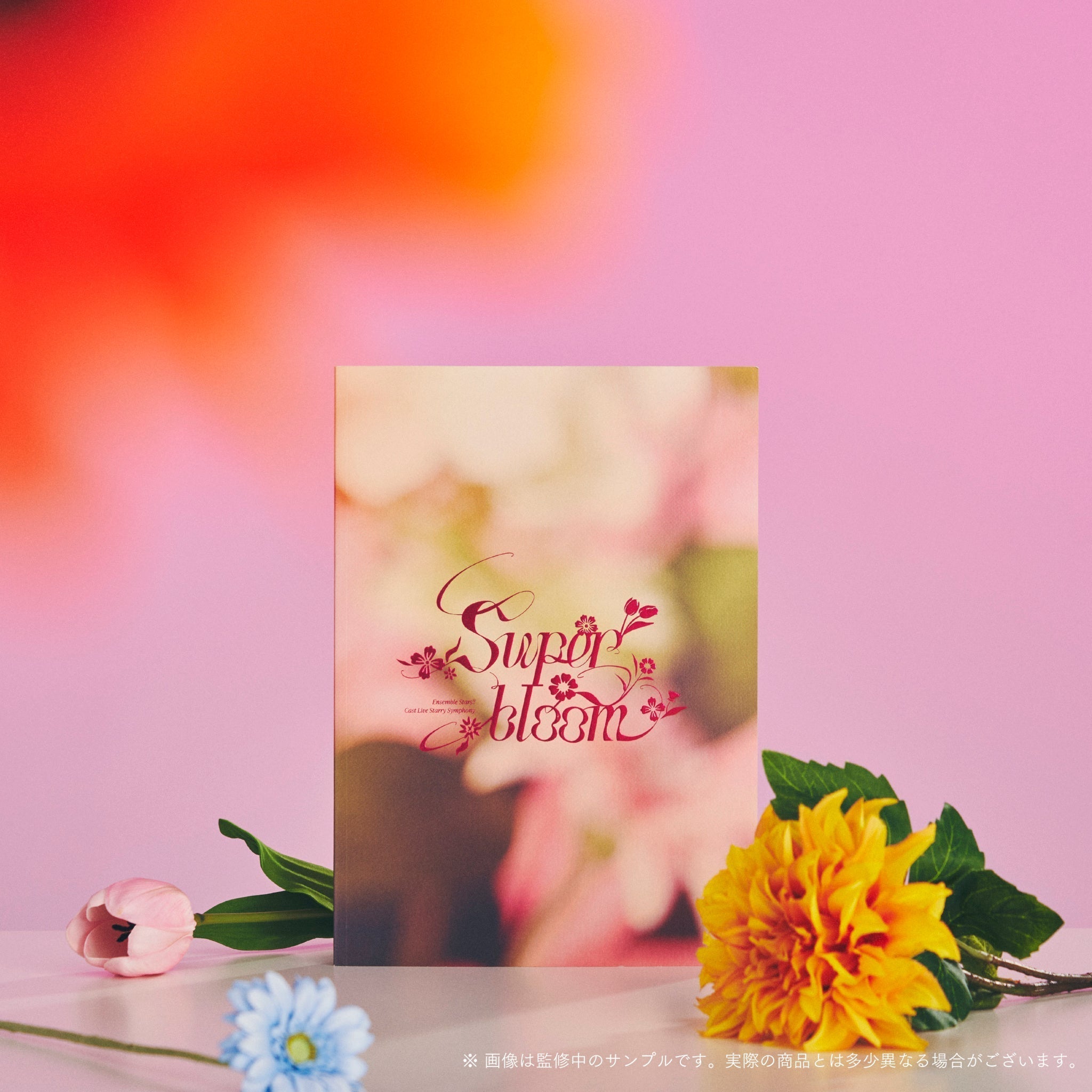 【新品未使用品】Flowers concert 10周年記念パンフレット 新品未使用品】Flowers concert 10周年記念パンフレット