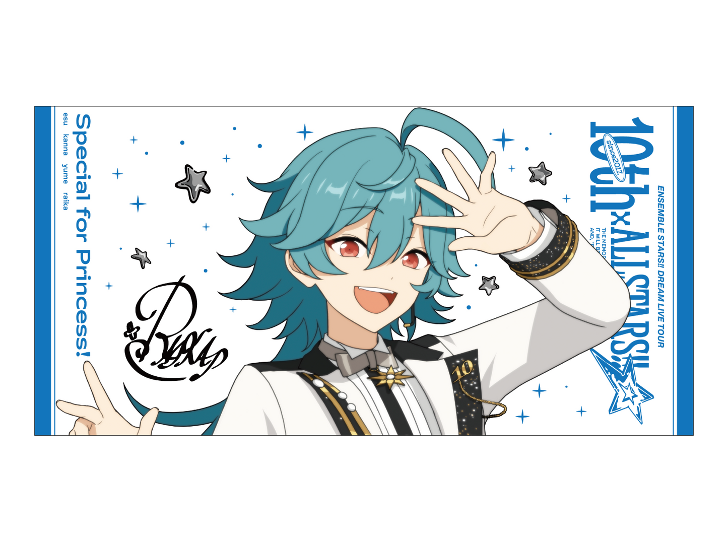 ビッグビジュアルタオル 10th Tour Edition（2wink／Knights／MaM／Special for Princess!）