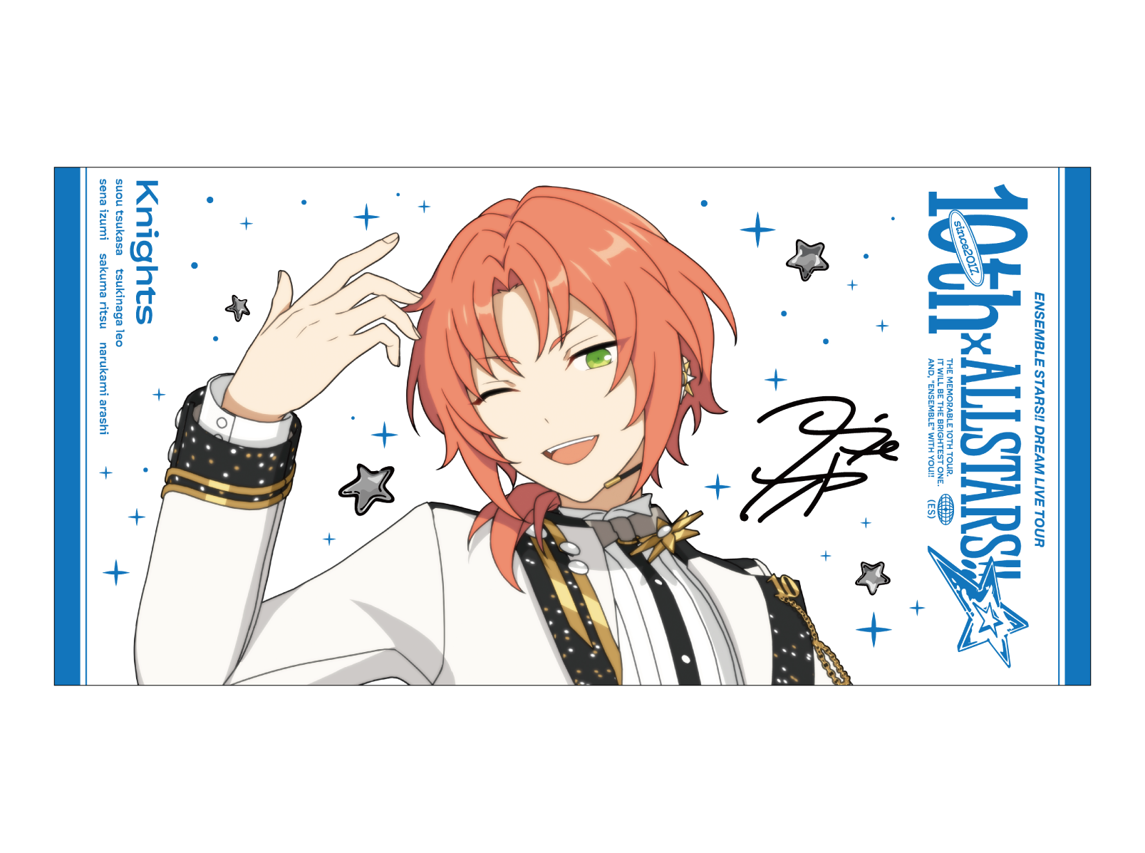 事後通販】ビッグビジュアルタオル 10th Tour Edition（2wink／Knights