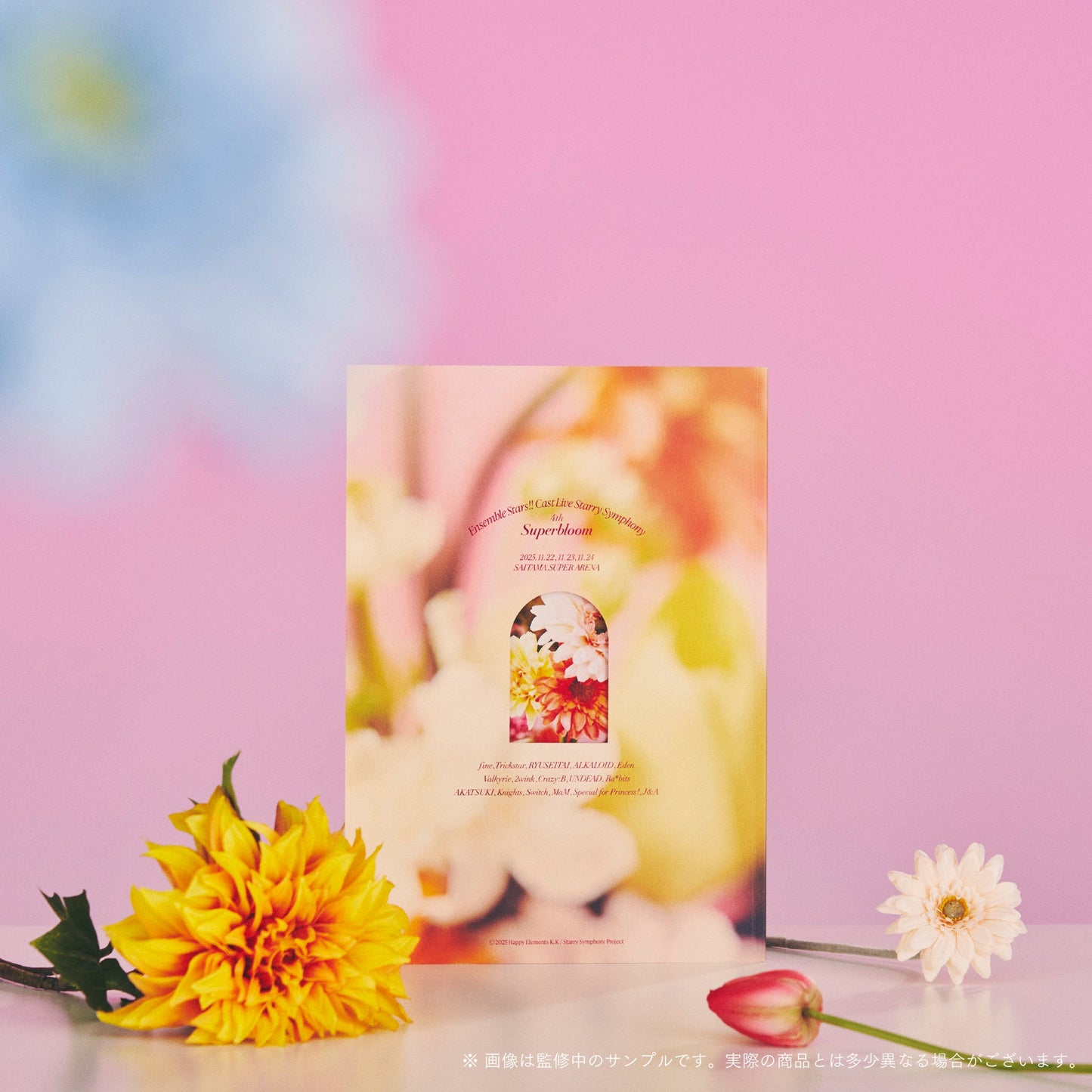 オフィシャルパンフレット - Superbloom -