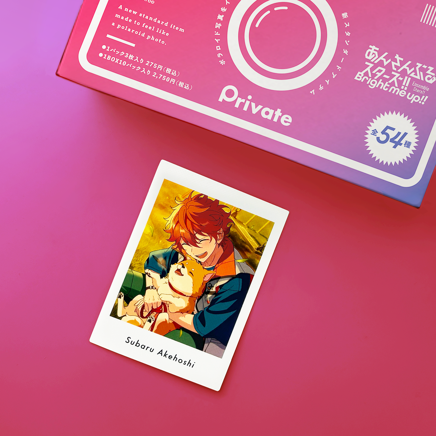 P.A.shots!! Vol.7 Private（BOX）